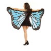 Fun World Butterfly Adult Wings (Blue) - 2 of 2