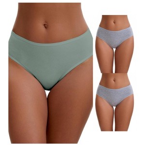 INSPIRE CHIC Plus Size for Women's Cotton Mid-Waisted Briefs Full Coverage Comfortable Underwear 3 Packs - 1 of 4