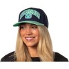 Pokemon Adult Embroidered Precurve Snapback Hat For Men and Women - 3 of 4