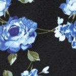 blue rose floral