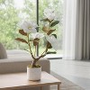 2 Pack Artificial Magnolia Tree,Realistic Faux Pink Plant with 12 Bloomings,Sturdy White Pot,Realistic Magnolia Grandiflora for Living Room,Office - 4 of 4