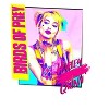 Birds of Prey Harley Quinn Short-Sleeve T-Shirt - 2 of 2