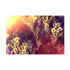 Trademark Fine Art -Beata Czyzowska Young 'Painting with Light' Canvas Art - 1 of 4