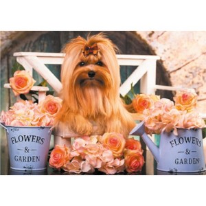 Pierre Belvedere BuilCute Golden York 702105 Jigsaw Puzzle 1500 PC - 1 of 1