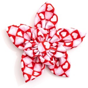 The Worthy Dog Colorblock Hearts Flower Accessory - 1 of 3