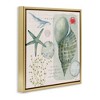Stupell Industries Sea Shell Inspirational Collage, 18" x 18" - 3 of 4