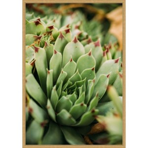 Amanti Art Succulent Whorl by Javier Pardina Canvas Wall Art Print Framed - 1 of 4