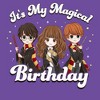 Junior's Women Harry Potter It’s My Magical Birthday Cute Characters T-Shirt - 2 of 4
