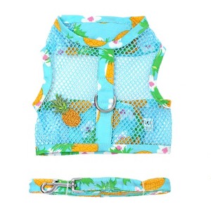 Doggie Design Cool Mesh Dog Harness with Leash - Pineapple Luau - 1 of 3