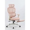 NicBex Adjustable Ergonomic Office Chair with Footrest,Dynamic Lumbar Support,2D Headrest,2D Armrest for Work Study,Pink - 2 of 4