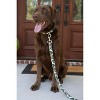 Country Brook Petz Deluxe Woodland Bone Camo Dog Collar - Made in The U.S.A. - 2 of 4