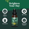 Rhodiola Rosea Tincture, Liquid Rhodiola Supplement for Stress Energy and Mood Support with 3% Salidrosides Rosea Extract, Nature's Craft, 60 servings - 2 of 4