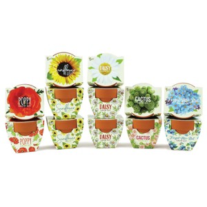 Buzzy Seeds 12pk Poppy Sunflower Daisy Forget-Me-Not Cactus Daydream Mini Grow Pots Flower Kits - 1 of 4