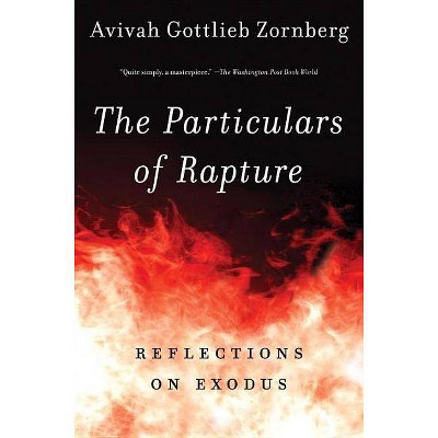 The Particulars of Rapture - by  Avivah Gottlieb Zornberg (Paperback)