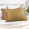 300 Thread Count Rayon From Bamboo Solid Set of 2 Pillowcase Set by Blue Nile Mills - 2 of 4