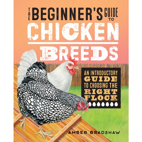 The Beginner's Guide to Chicken Breeds - by  Amber Bradshaw (Paperback) - image 1 of 1