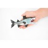 Collectible Wildlife Gifts | Fish, Barracuda, Anarrhichtys Ocellaus, Museum Quality, Hand Painted, Rubber Fish,  Toy Model, Gift,   10"   CH382 BB143 - 3 of 4