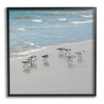 Stupell Industries Sandpipers Flock Sandy Beach Shore Framed Giclee Art