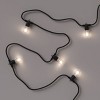 10ct LED Outdoor Non- Drop String Lights Black - Smith & Hawken™ - image 3 of 4
