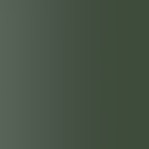 champagne crystal frame/smoke green lens