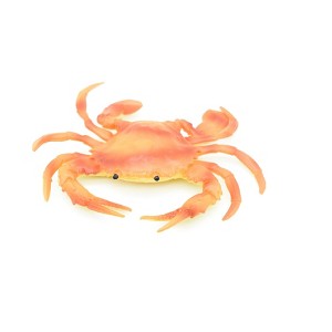 Collectible Wildlife Gifts | Crab, Orange Crab,  Rubber, Crustaceans, Realistic, Hand Painted,  Figurine,  Gift,         5 1/2"        F3481 B125 - 1 of 4