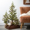 3' Sullivans Large Pinecone Tree In Burlap, Green - 3 of 3