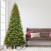 12ft Puleo Pre-Lit Full Berkshire Fir Artificial Christmas Tree Clear Lights - 2 of 3