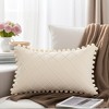 REGALWOVEN Geometry Velvet Couch Throw Pillow Covers with Pom-poms for Farmhouse Home Decor 1 Pc - 2 of 4