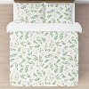 Sweet Jojo Designs Full/Queen Comforter Bedding Set Botanical Green and White 3 pc - 3 of 4