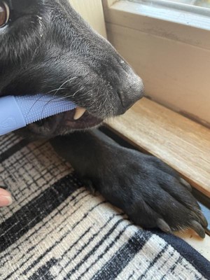 Guest review image 1 of 1, zoom in