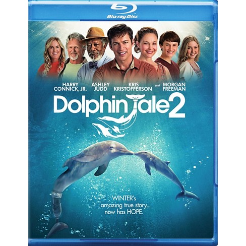 dolphin tale cast