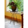 24.8" x 14" Roman Bronze Wrought Iron Capri Plant Stand Powder Coated - ACHLA Designs - 3 of 4