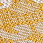 yellow/cream