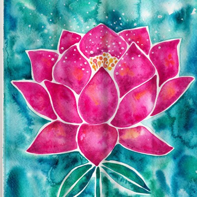 sacred lotus blossom magenta teal