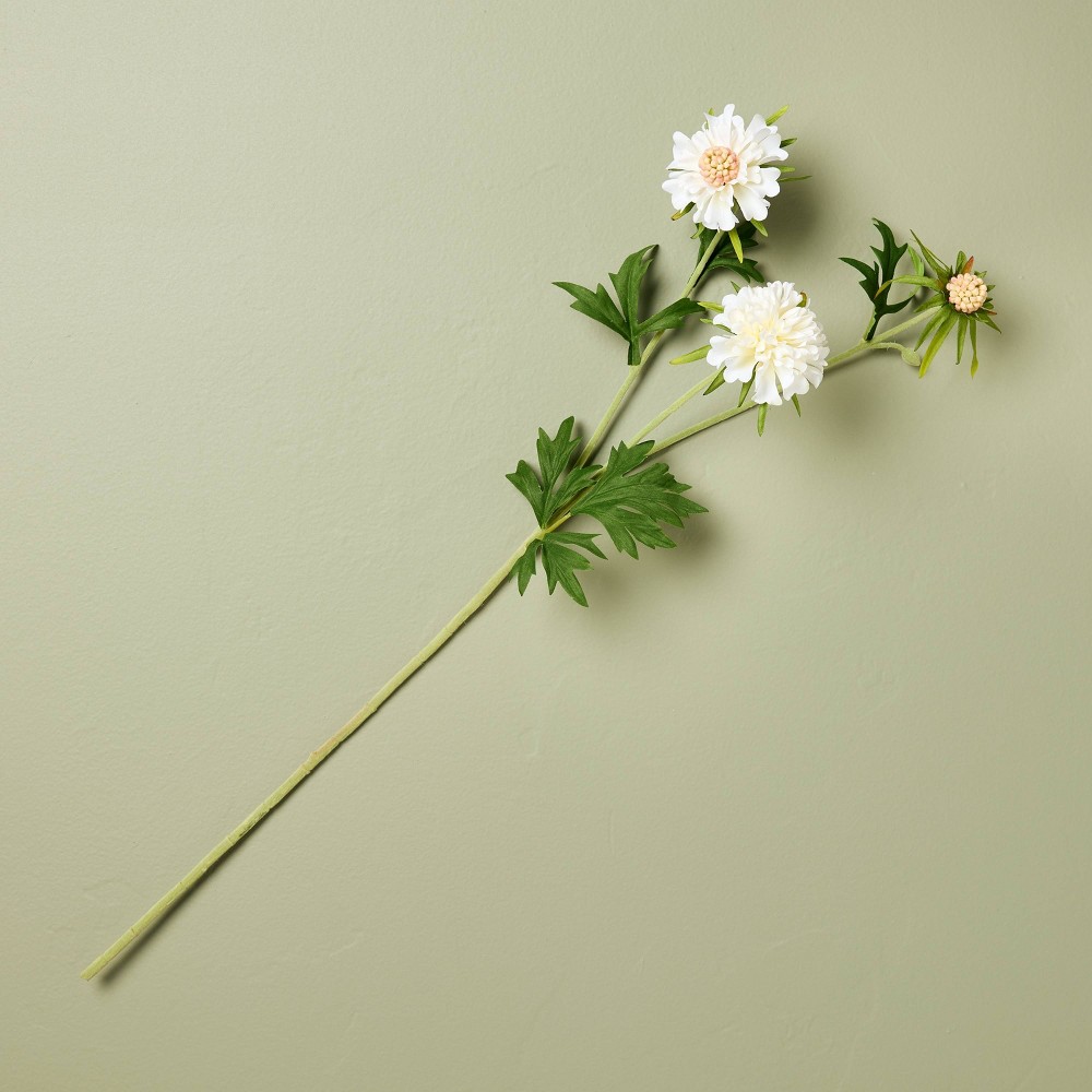 25" Scabiosa Artificial Stem White - Hearth & Hand™ with Magnolia