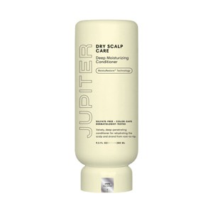 Jupiter Deep Moisturizing Conditioner - 8.5 fl oz - 1 of 1