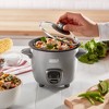 Dash 2-Cup Electric Mini Rice Cooker - Graphite: Small Rice Maker, Automatic Keep Warm, Includes Recipes & Accessories - 4 of 4