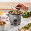 Dash 2-cup Electric Mini Rice Cooker - Graphite : Target