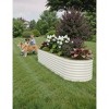 2 Pack Steel Raised Garden Bed 8x2x2ft,Metal Deep Root Planter Box for Vegetables Flowers Herbs,Large Oven Garden Planting Bed,Easy Assembly,beige - 4 of 4