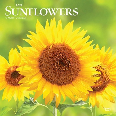 2022 Square Calendar Sunflowers - BrownTrout Publishers Inc