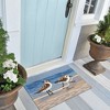 Liora Manne Frontporch Coastal Indoor/Outdoor Rug.. - 3 of 4