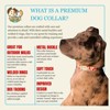 Country Brook Petz Premium Dog Collar - Awesome Autumn Collection - 2 of 4