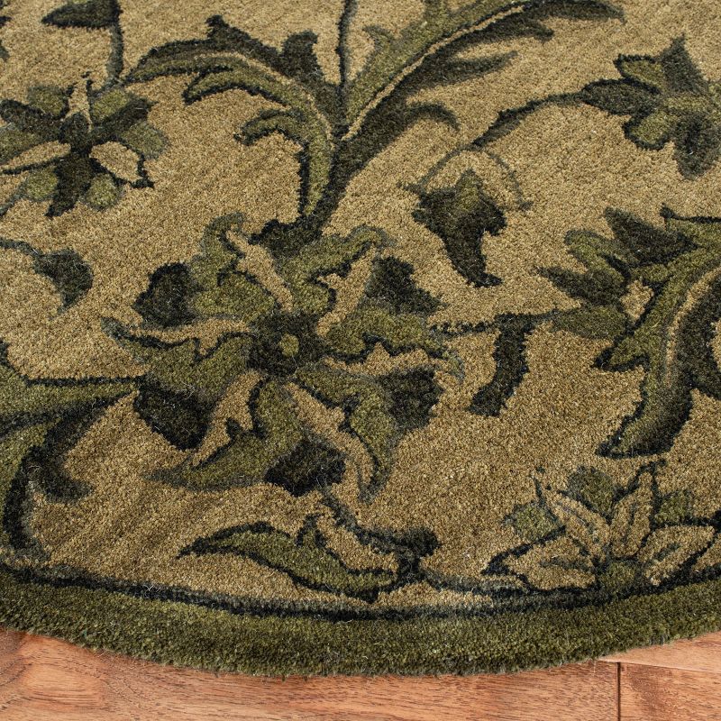 Antiquity AT824 Hand Tufted Area Rug  - Safavieh, 4 of 5