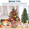 GAOMON 24 Inch Mini Christmas Tree with Lights, Pre-Lit Artificial Table Tree with Bow & Balls, Red Berries & Pine Cone - 4 of 4