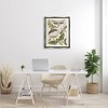 Stupell Industries Mixed Insects Moth Latin Studies Floating Frame Canvas Art, Gray, 25" x 31" - 3 of 4