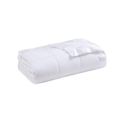 Bed Blanket Prospect All Season Hypoallergenic Microfiber Down Alternative with 3M Scotchgard Finish (Twin) White