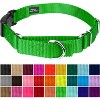 Country Brook Petz Heavy Duty Nylon Martingale Dog Collar with Deluxe Buckle - 30+ Vibrant Color Options - 4 of 4