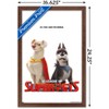 Trends International DC Comics Movie DC League of Super-Pets - Krypto and Ace Framed Wall Poster Prints - 3 of 4