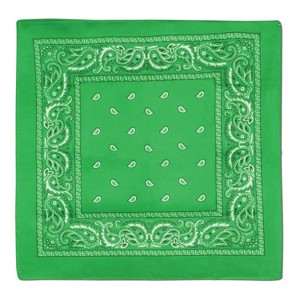 Beistle Green Bandana, 22" x 22", (4/Pkg) Green - 1 of 1