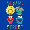 Toddler's Sesame Street Four Circle Primary Colors Grid T-Shirt - 2 of 3